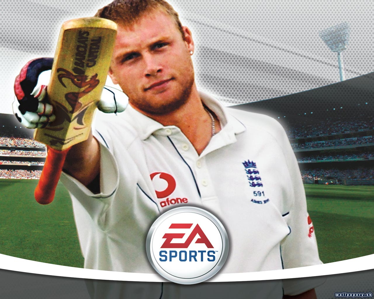 Cricket 07 - wallpaper 1