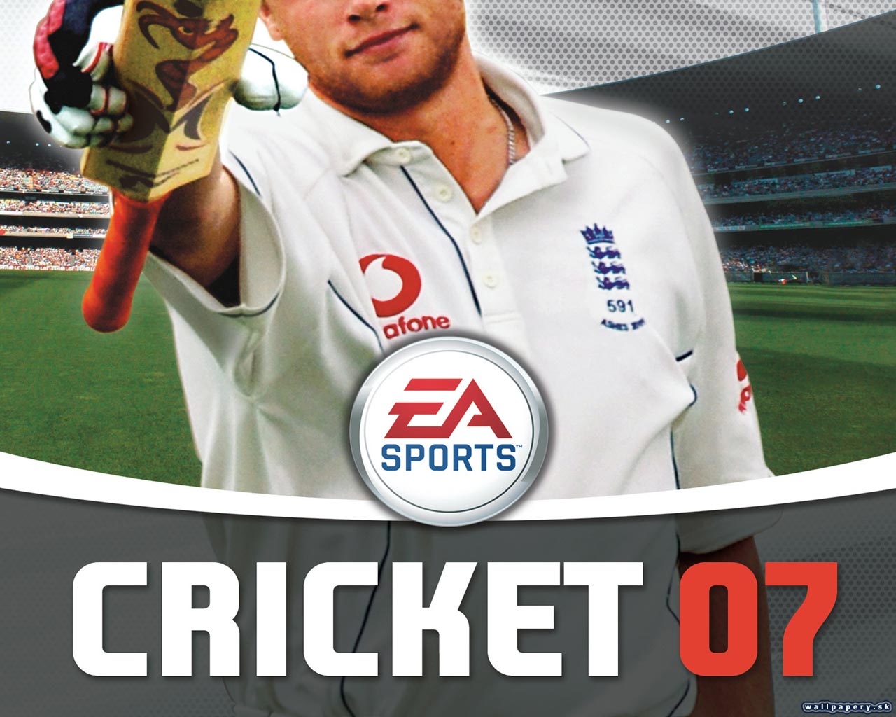 Cricket 07 - wallpaper 2