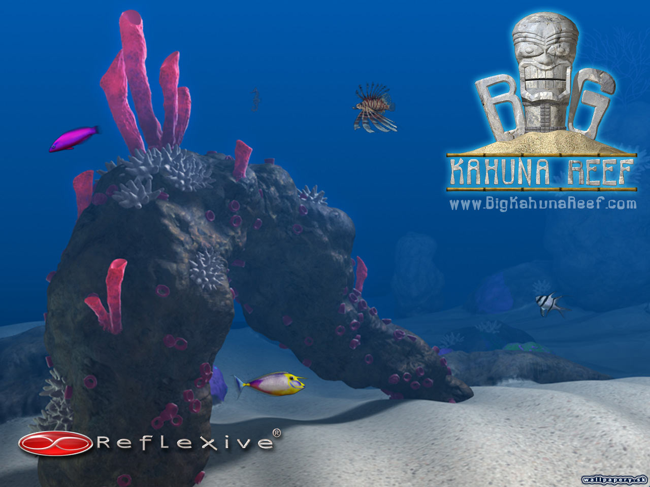 Big Kahuna Reef - wallpaper 2