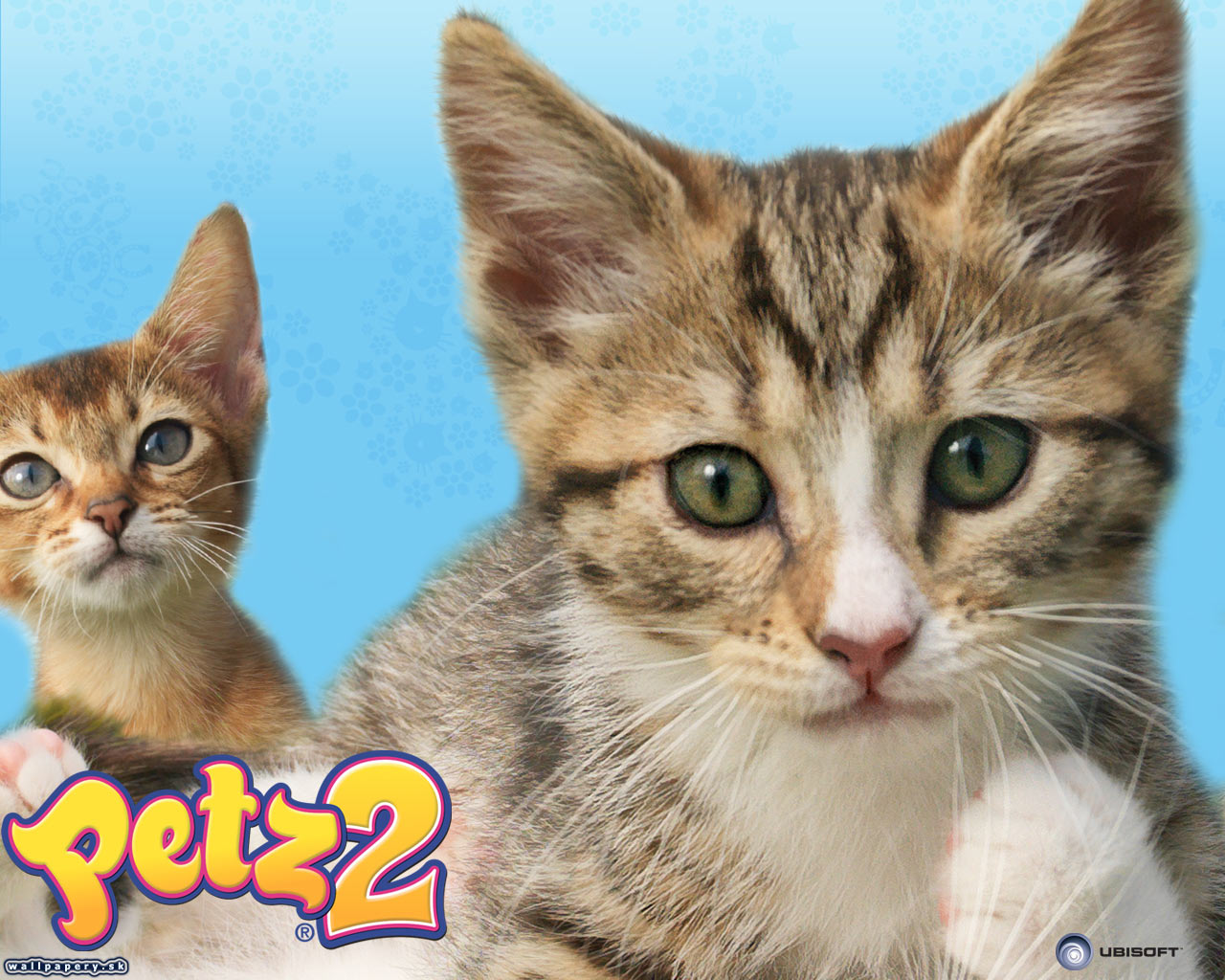 Petz: Catz 2 - wallpaper 2