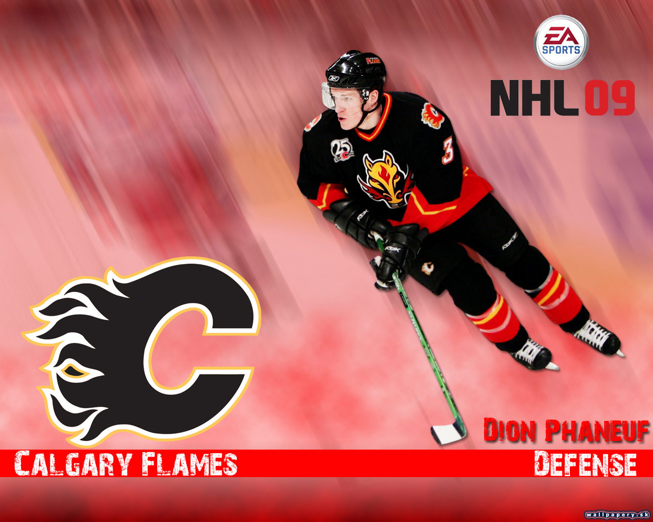 NHL 09 - wallpaper 4