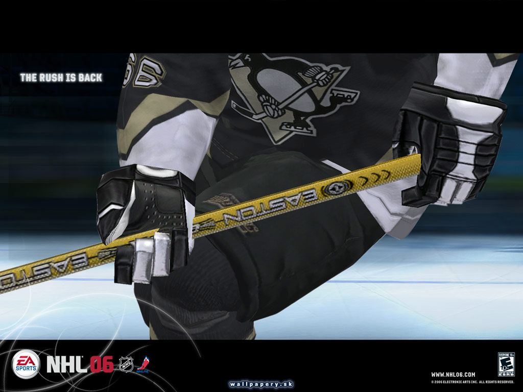 NHL 06 - wallpaper 12