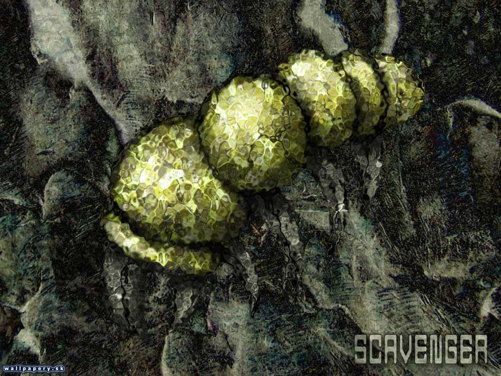 Scavenger - wallpaper 4