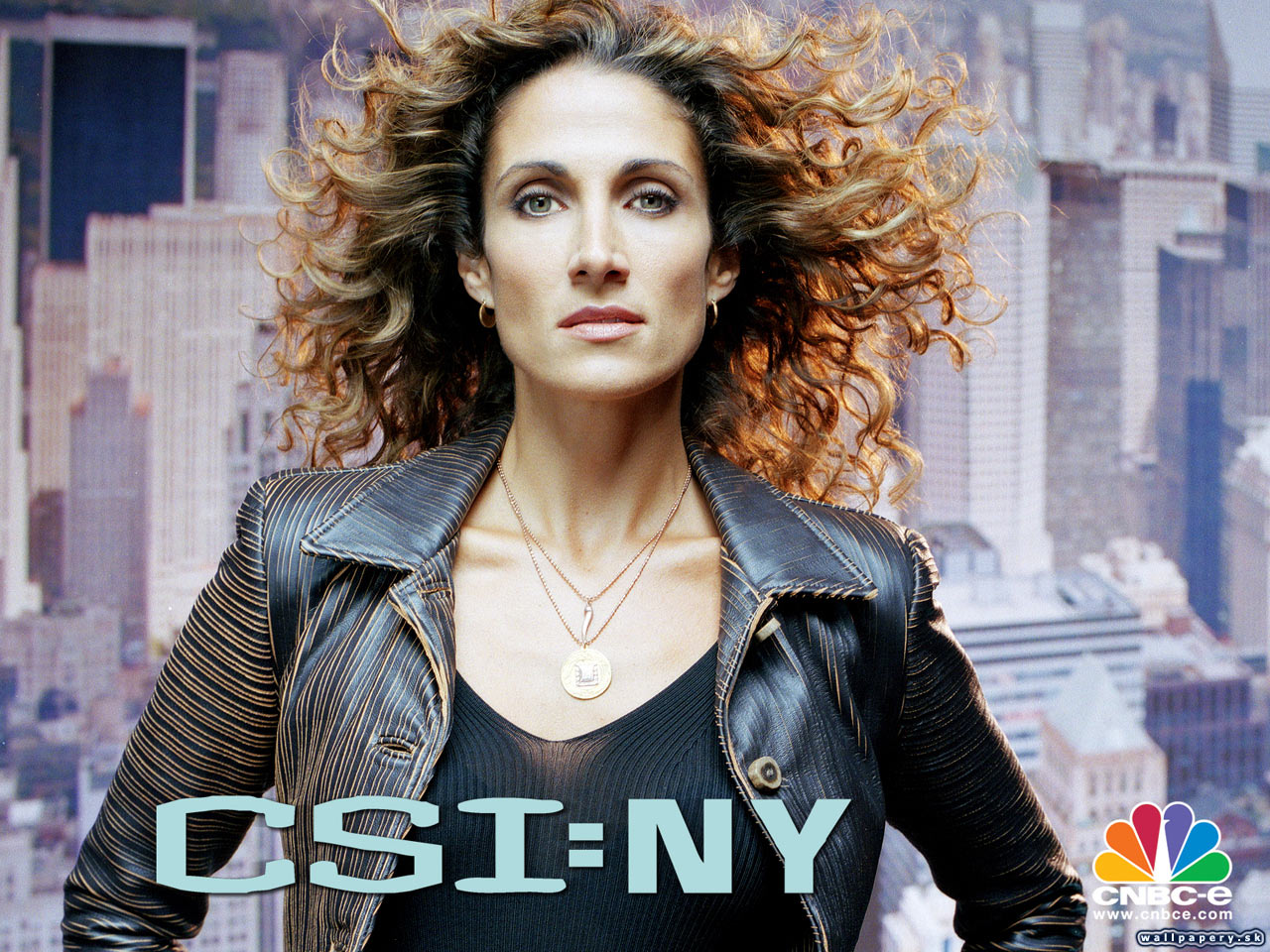 CSI: NY - wallpaper 6