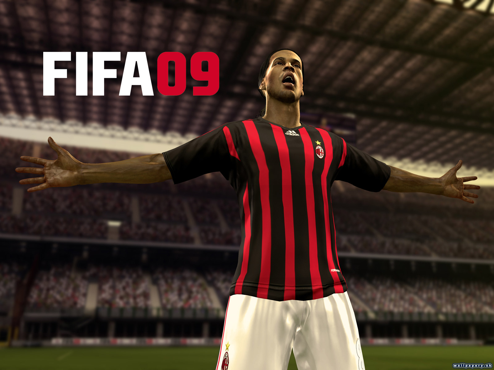 FIFA 09 - wallpaper 7