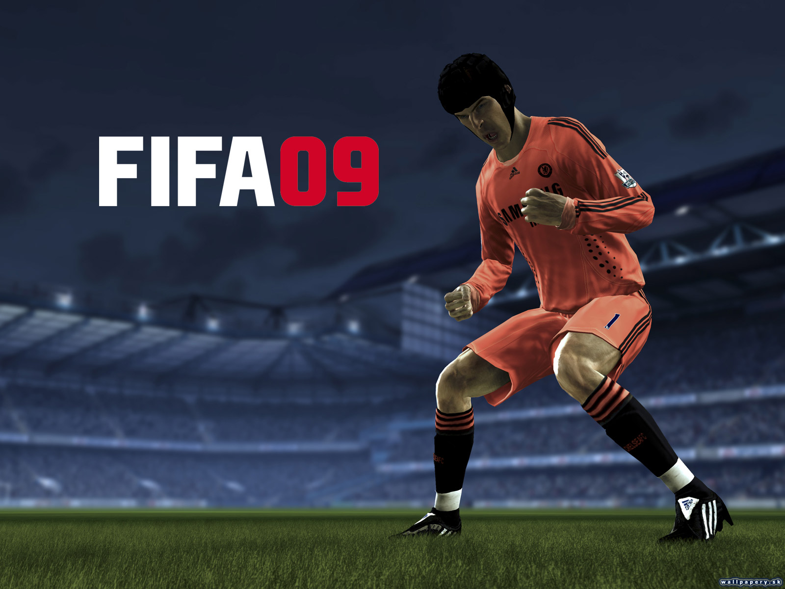 FIFA 09 - wallpaper 8