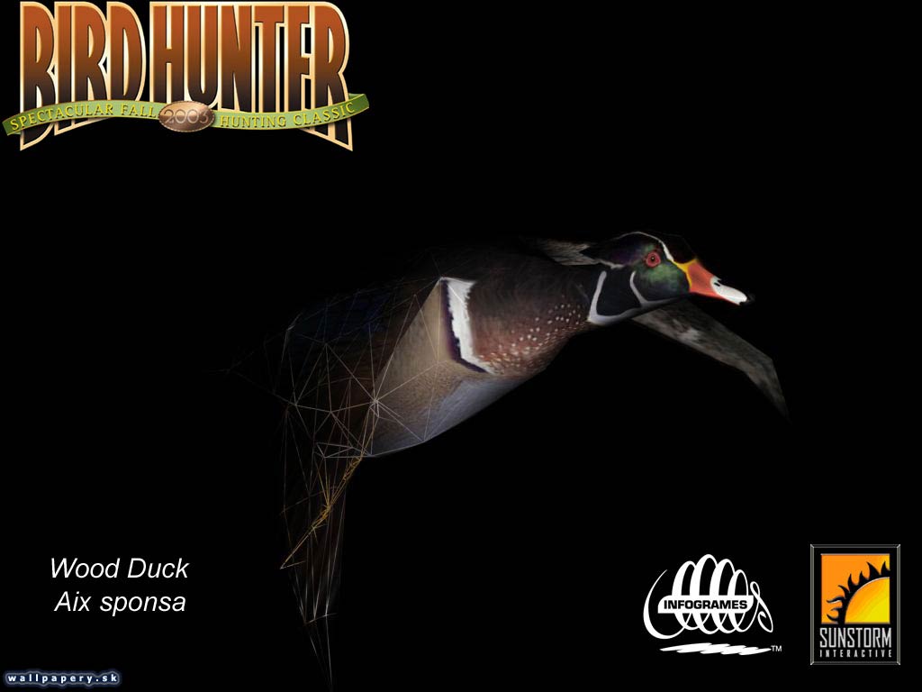 Bird Hunter 2003 - wallpaper 4