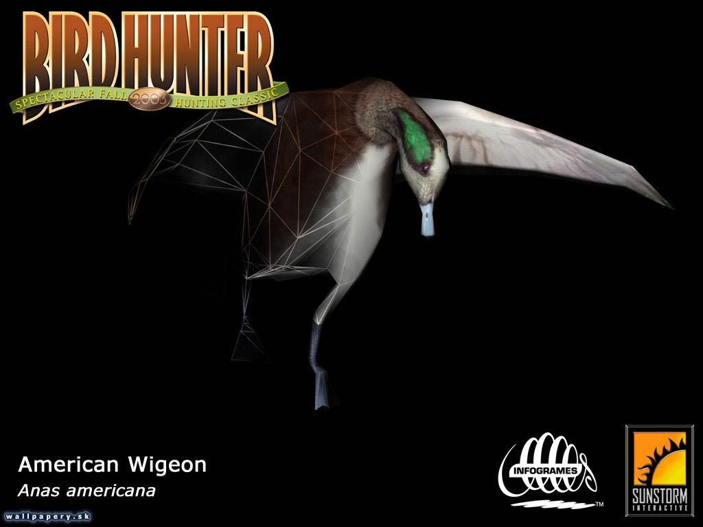 Bird Hunter 2003 - wallpaper 5