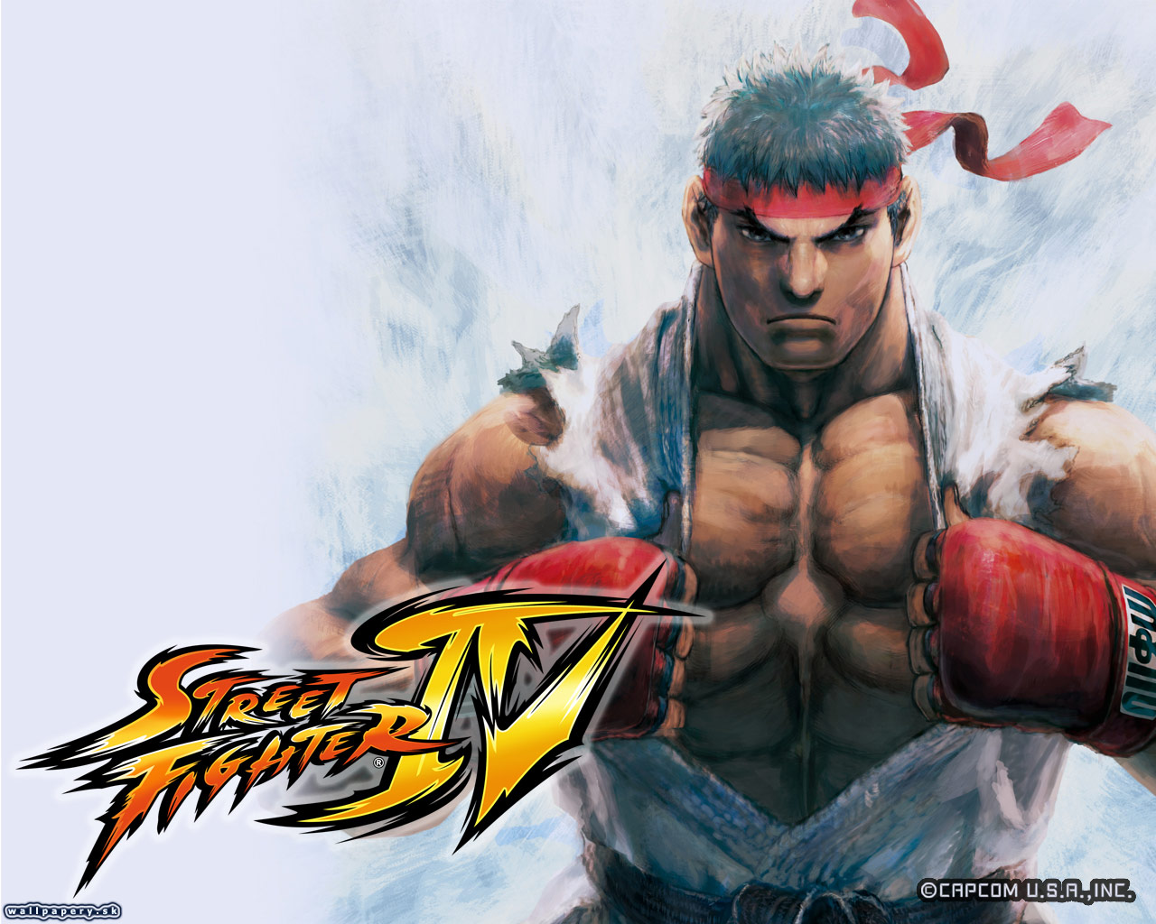 Street Fighter IV - wallpaper 20