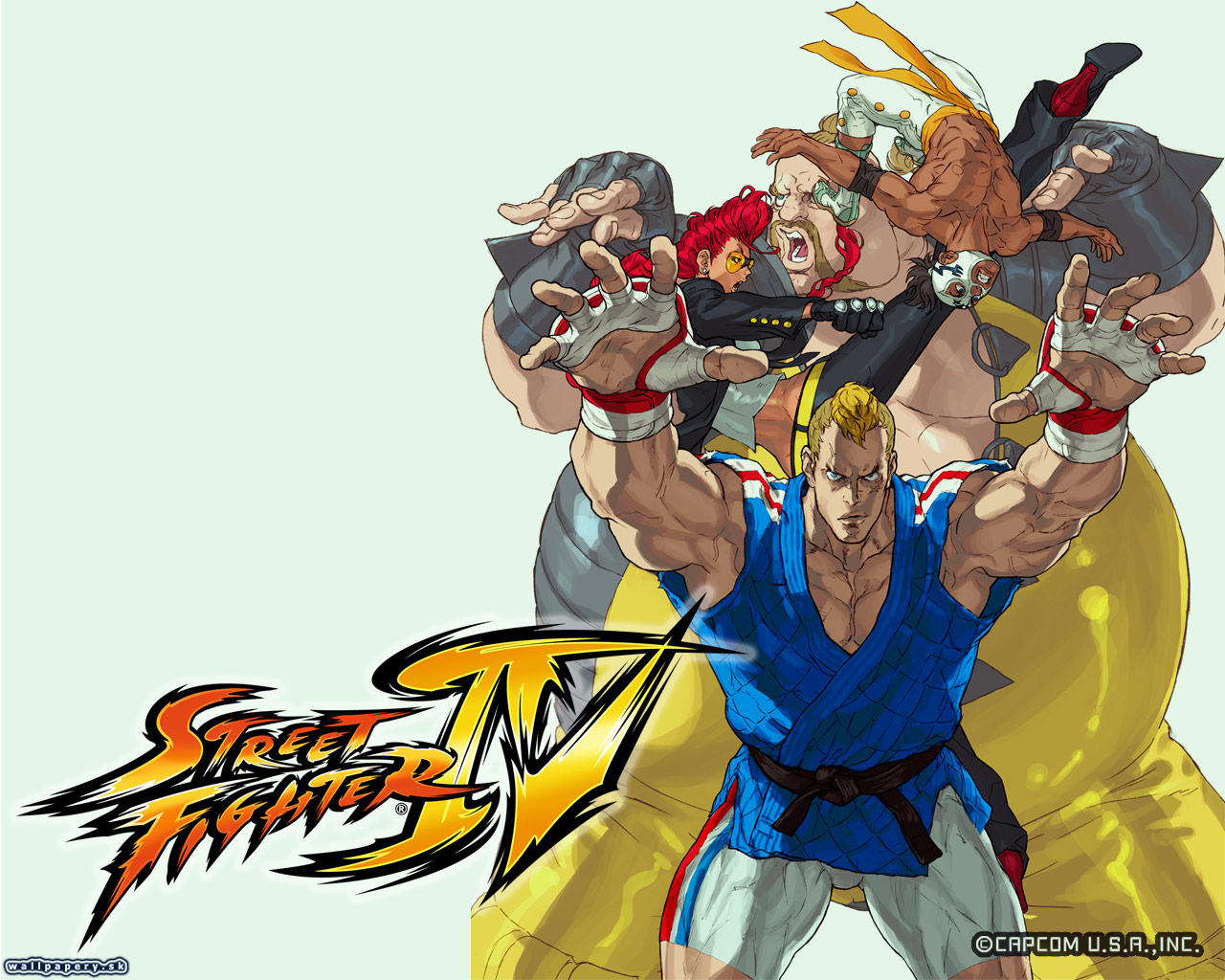 Street Fighter IV - wallpaper 24