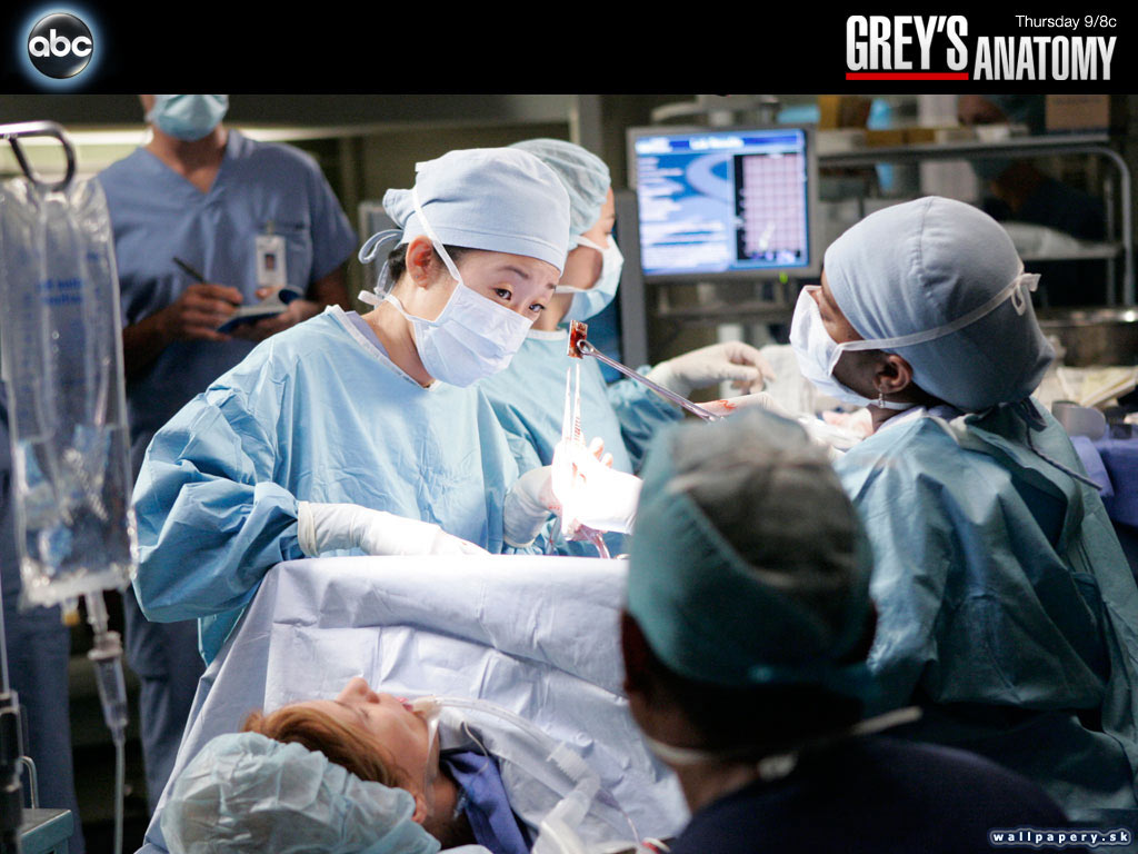 Greys Anatomy: The Video Game - wallpaper 22