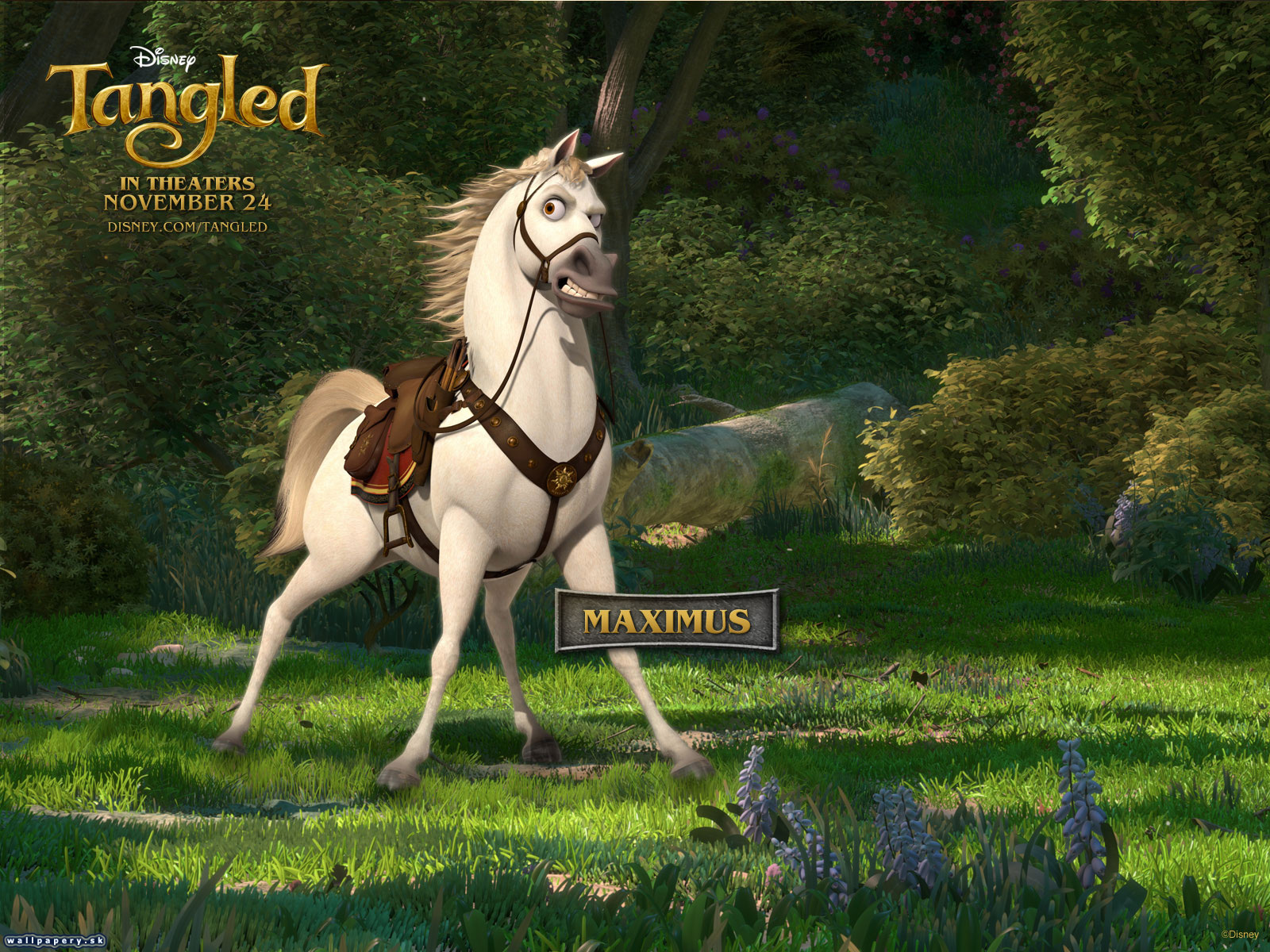 Disney Tangled: The Video Game - wallpaper 6