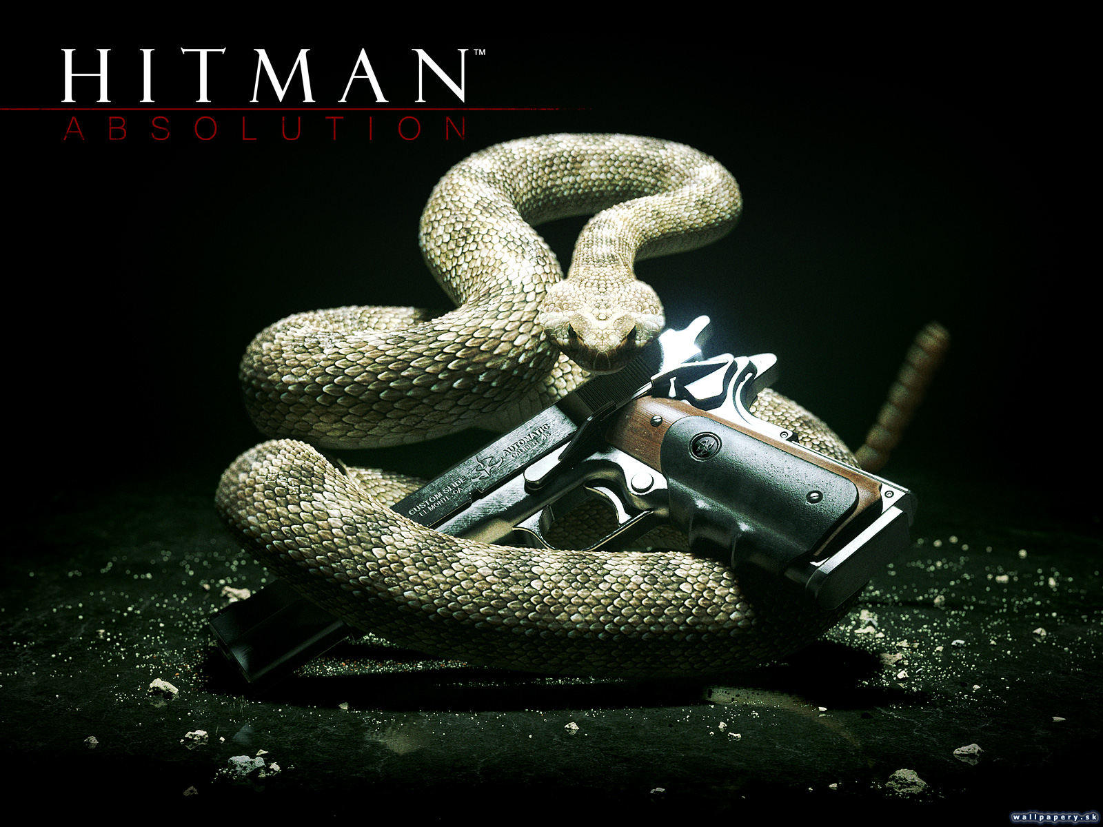 Hitman: Absolution - wallpaper 3