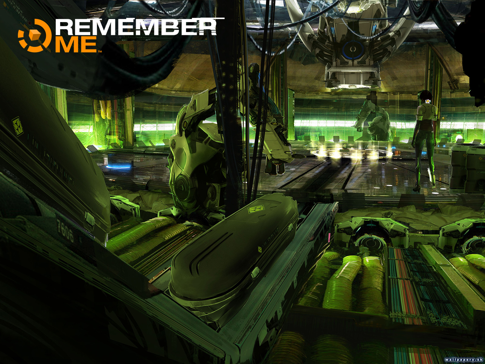 Remember Me - wallpaper 16