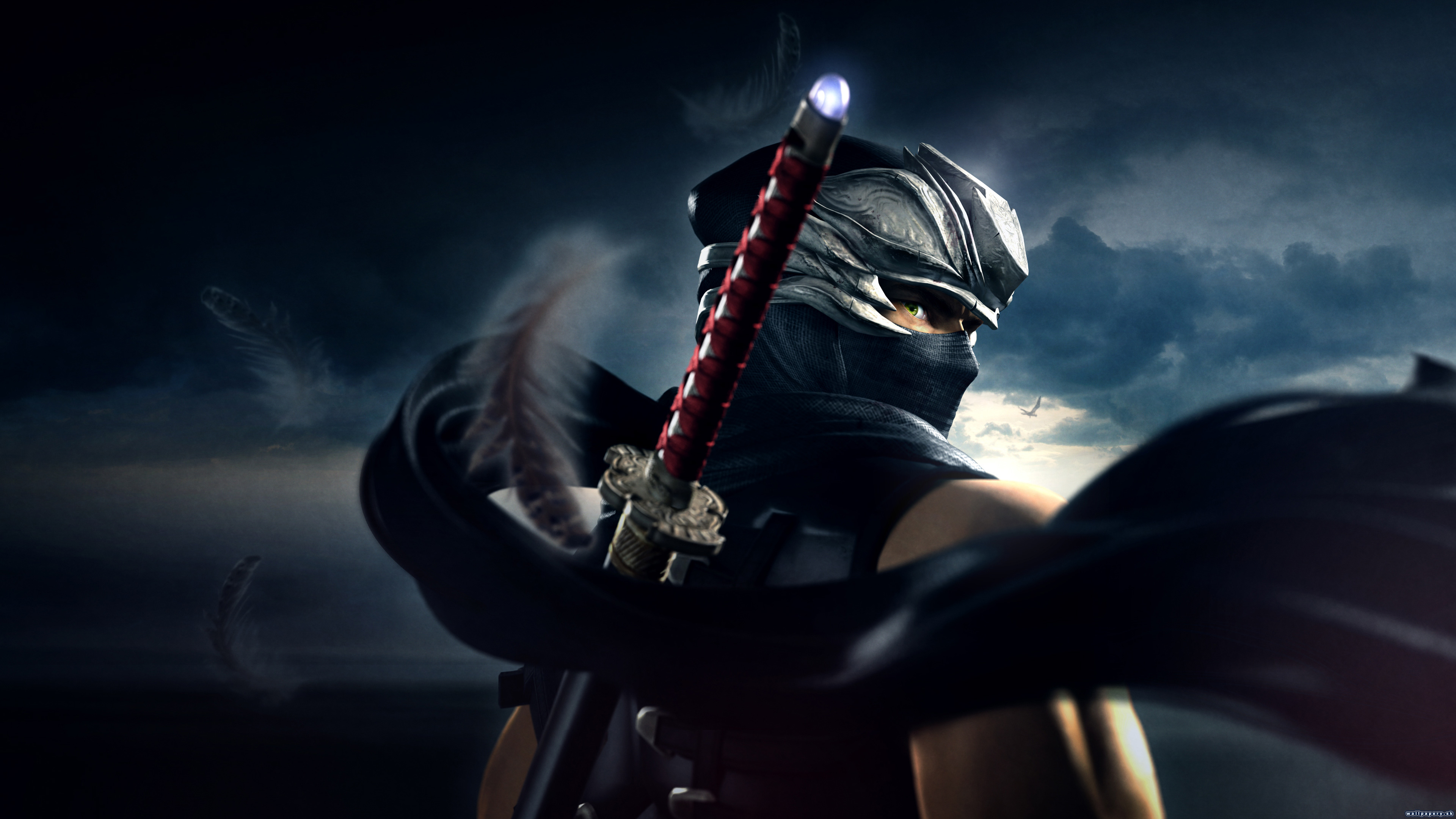 Ninja Gaiden: Master Collection - wallpaper 3