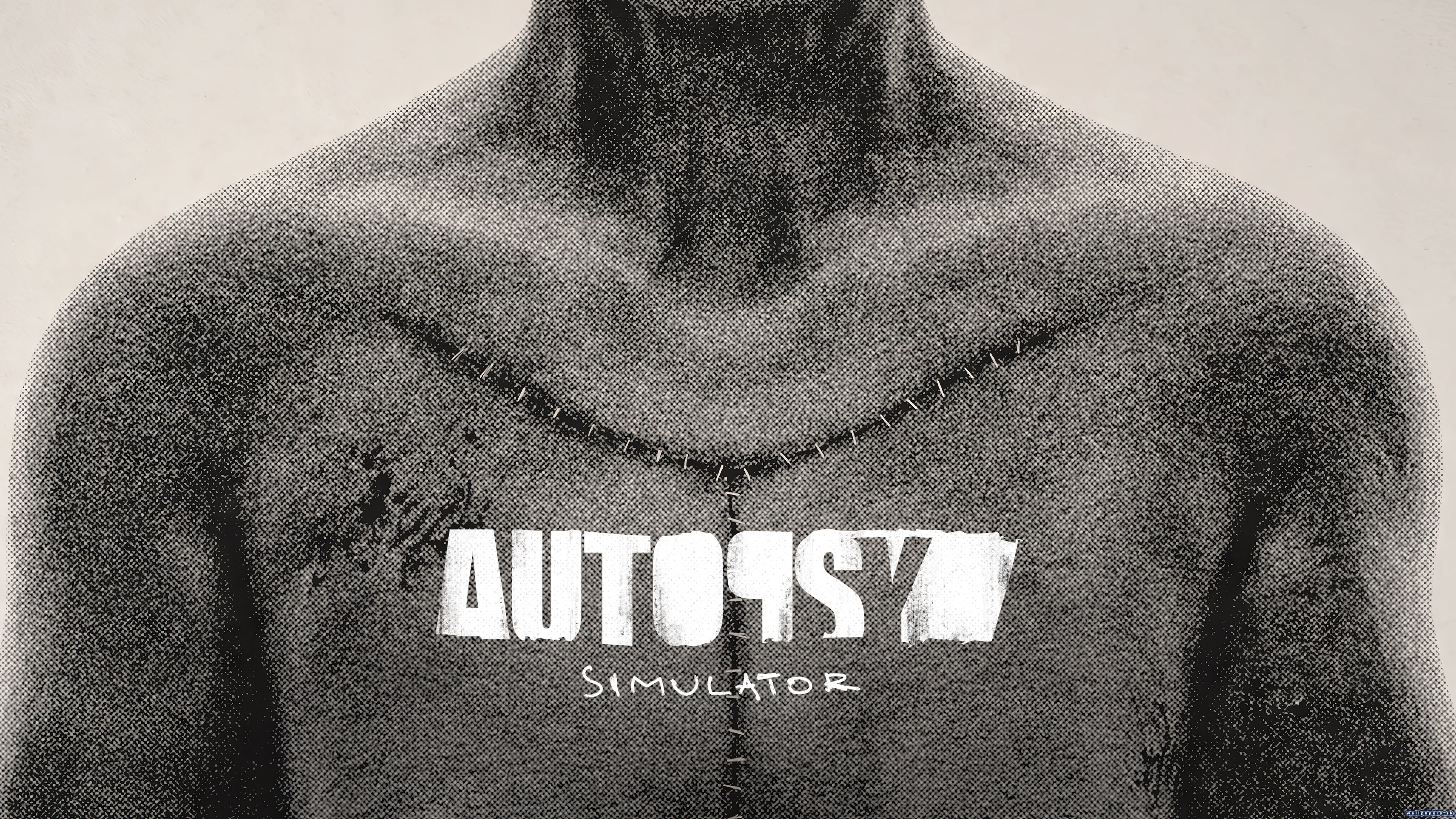 Autopsy Simulator - wallpaper 1