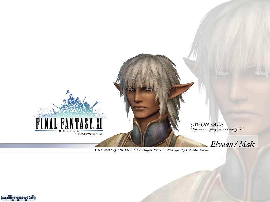 Final Fantasy XI: Online - wallpaper 21