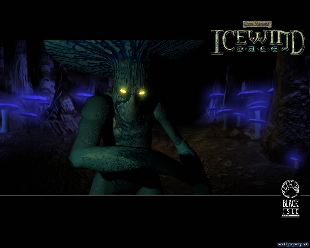 Icewind Dale - wallpaper 23