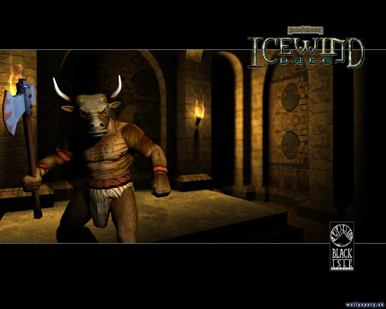 Icewind Dale - wallpaper 25